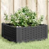 Plantenbak met pinnen 42,5x42,5x28,5 cm polypropeen zwart - AllerleiShop