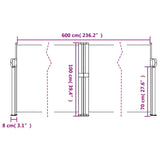 Windscherm uittrekbaar 100x600 cm zwart - AllerleiShop