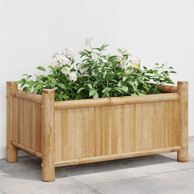 Plantenbak 50x30x25 cm bamboe - AllerleiShop