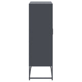 Hoge kast 68,5x38,5x123,5 cm staal antracietkleurig - AllerleiShop