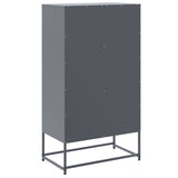 Hoge kast 68,5x38,5x123,5 cm staal antracietkleurig - AllerleiShop