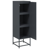 Hoge kast 36x39x123 cm staal antracietkleurig - AllerleiShop