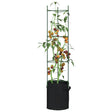 Tomatenkooien met plantenzak 6 st 154 cm staal en polypropeen - AllerleiShop