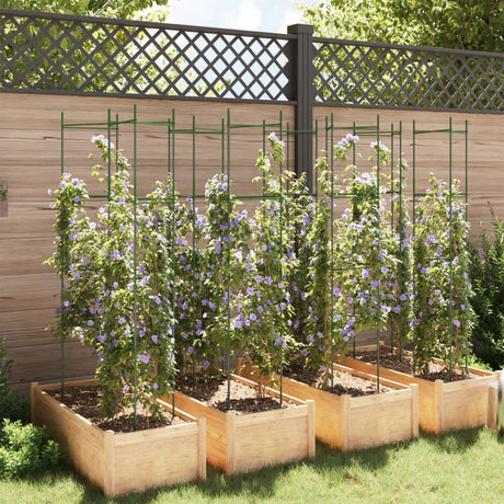 Tomatenkooi 8 st 154 cm staal en polypropeen - AllerleiShop