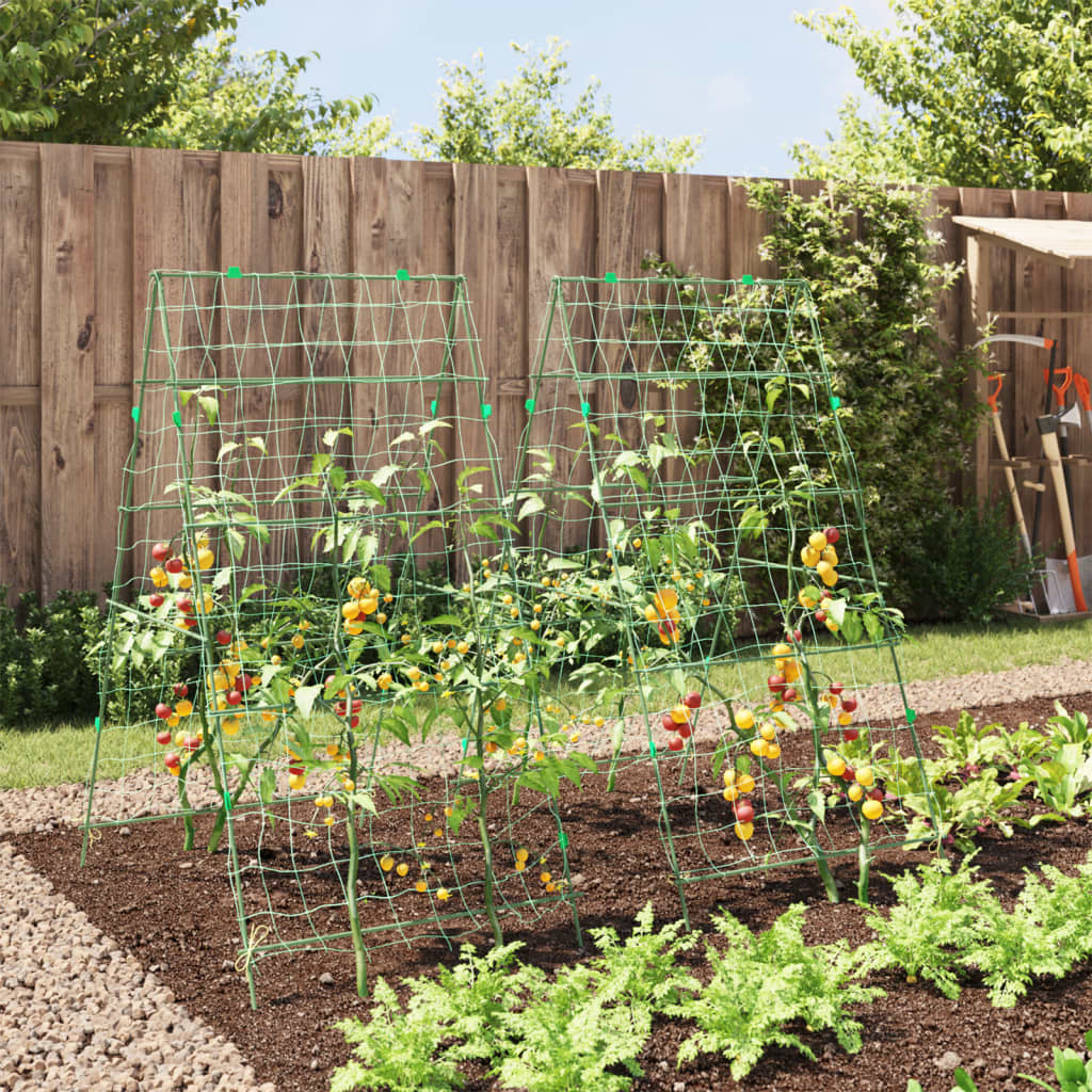 Plantenklimrekken 2 st A-frame staal - AllerleiShop