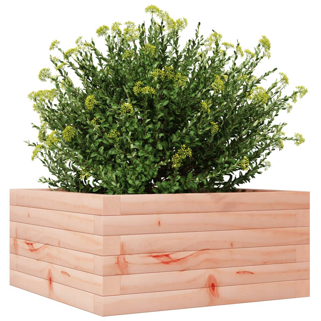 Plantenbak 50x50x23 cm massief douglashout