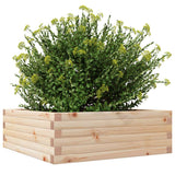 Plantenbak 70x70x23 cm massief grenenhout