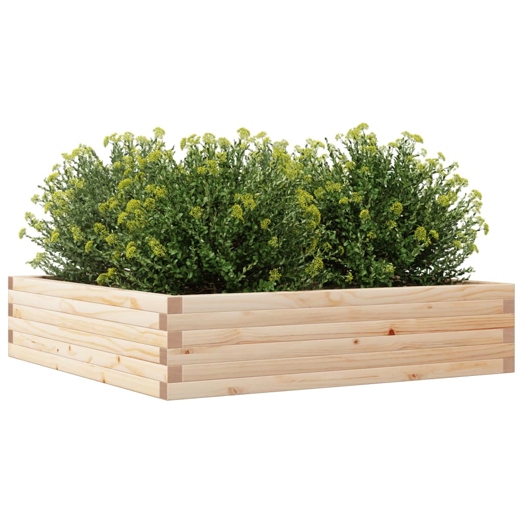 Plantenbak 100x100x23 cm massief grenenhout