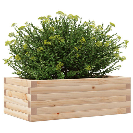 Plantenbak 70x40x23 cm massief grenenhout