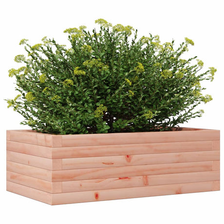 Plantenbak 70x40x23 cm massief douglashout