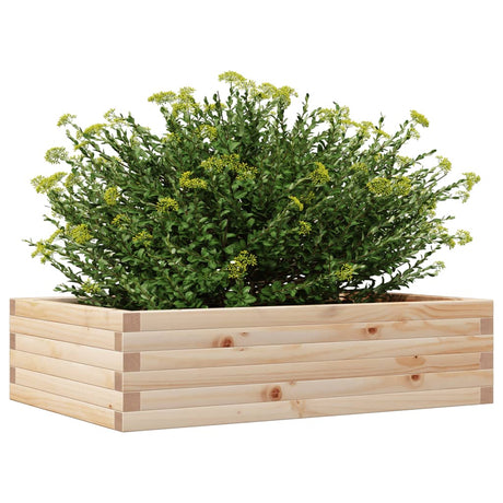 Plantenbak 90x60x23 cm massief grenenhout