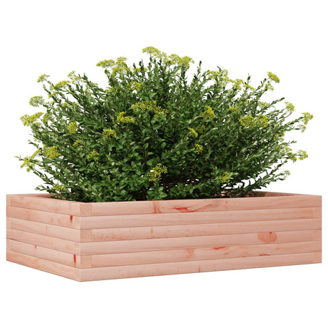 Plantenbak 90x60x23 cm massief douglashout