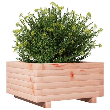 Plantenbak 50x50x26,5 cm massief douglashout