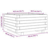 Plantenbak 50x50x26,5 cm massief douglashout