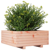 Plantenbak 60x60x26,5 cm massief douglashout