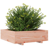 Plantenbak 80x80x26,5 cm massief douglashout