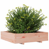 Plantenbak 100x100x26,5 cm massief douglashout