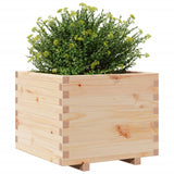 Plantenbak 60x60x49,5 cm massief grenenhout