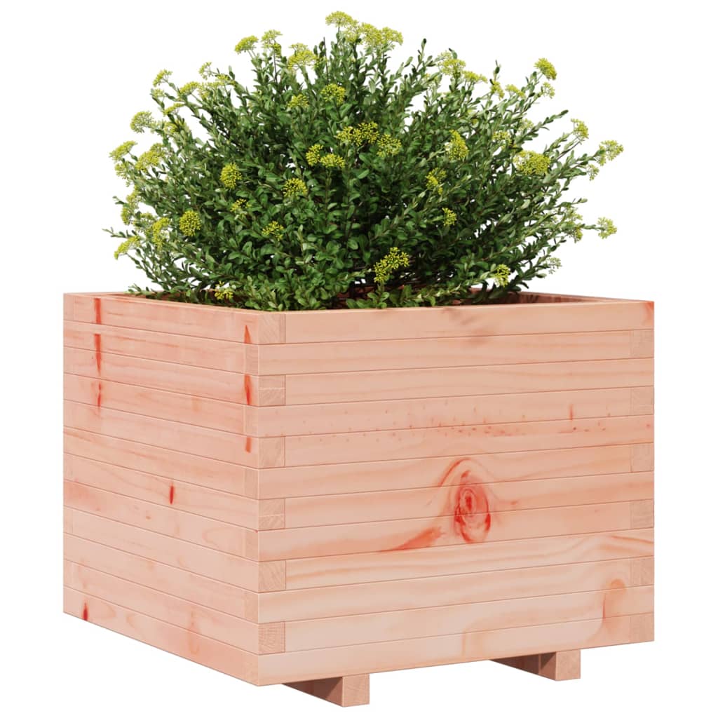 Plantenbak 60x60x49,5 cm massief douglashout