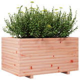 Plantenbak 90x60x49,5 cm massief douglashout