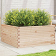 Plantenbak 100x100x46 cm massief grenenhout - AllerleiShop