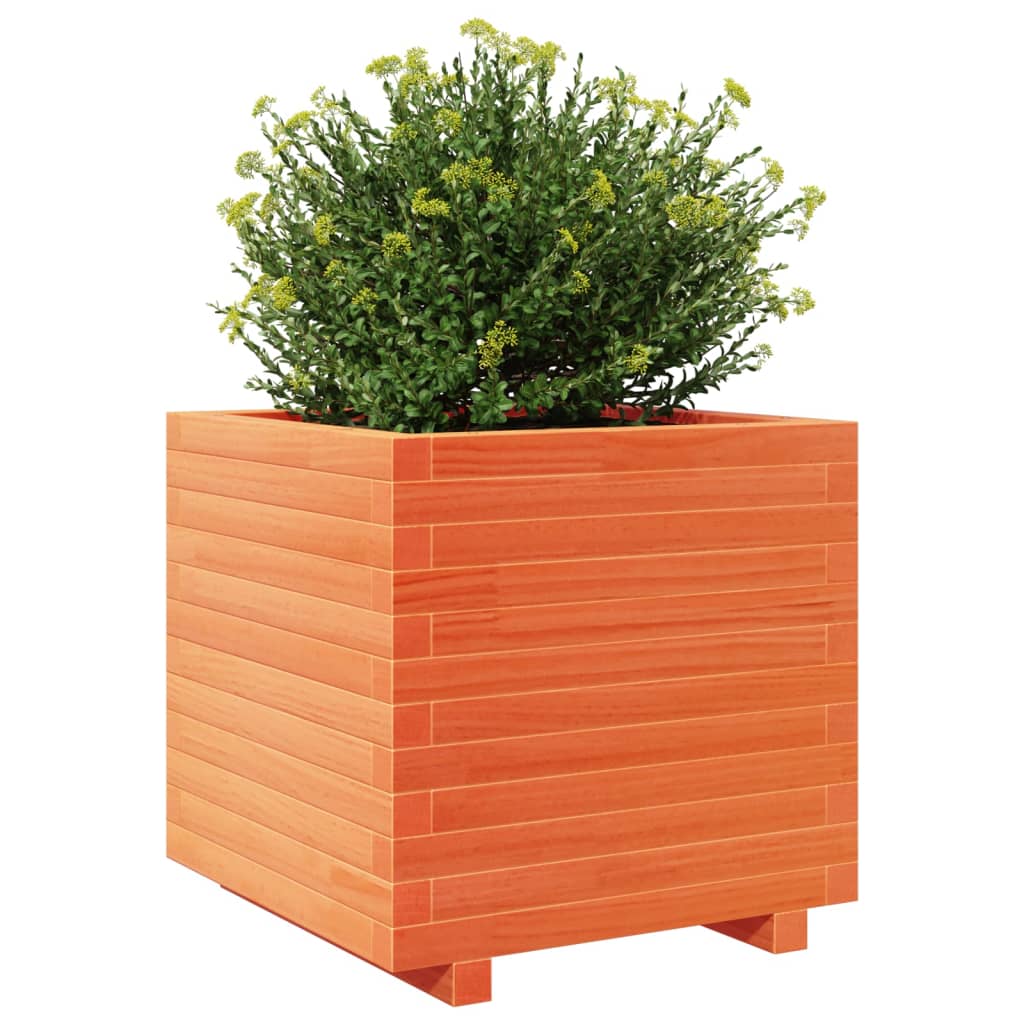 Plantenbak 50x50x49,5 cm massief grenenhout wasbruin - AllerleiShop