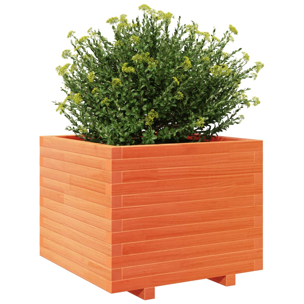 Plantenbak 60x60x49,5 cm massief grenenhout wasbruin - AllerleiShop