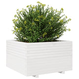 Plantenbak 80x80x49,5 cm massief grenenhout wit - AllerleiShop