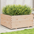 Plantenbak 100x100x49,5 cm massief grenenhout - AllerleiShop