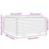 Plantenbak 100x100x49,5 cm massief grenenhout wit - AllerleiShop