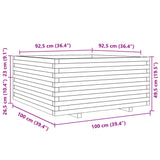 Plantenbak 100x100x49,5 cm massief douglashout - AllerleiShop