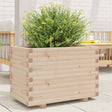 Plantenbak 70x40x49,5 cm massief grenenhout - AllerleiShop