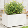 Plantenbak 90x60x49,5 cm massief grenenhout wit - AllerleiShop