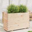 Plantenbak 110x40x72,5 cm massief grenenhout - AllerleiShop