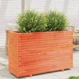 Plantenbak 110x40x72,5 cm massief grenenhout wasbruin - AllerleiShop