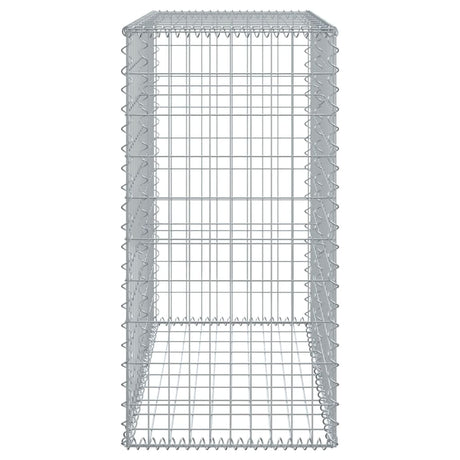 Schanskorf 100x50x100 cm gegalvaniseerd ijzer zilverkleurig - AllerleiShop