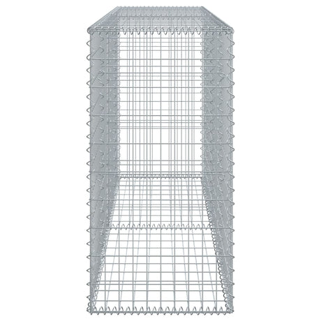 Schanskorf 200x50x100 cm gegalvaniseerd ijzer zilverkleurig - AllerleiShop