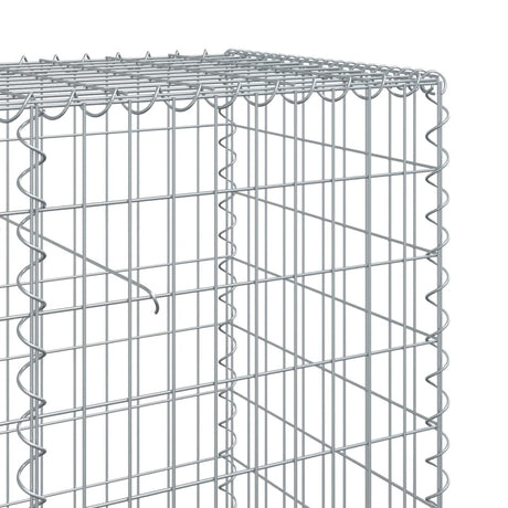 Schanskorf 200x50x100 cm gegalvaniseerd ijzer zilverkleurig - AllerleiShop