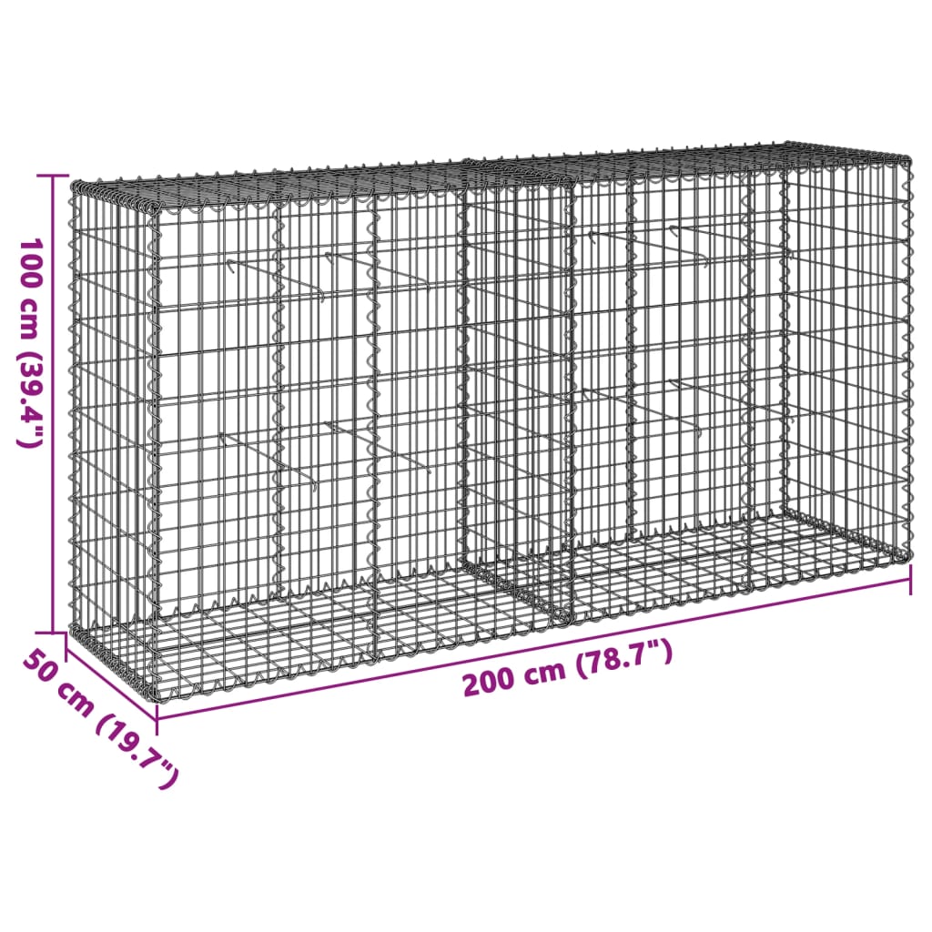 Schanskorf 200x50x100 cm gegalvaniseerd ijzer zilverkleurig - AllerleiShop