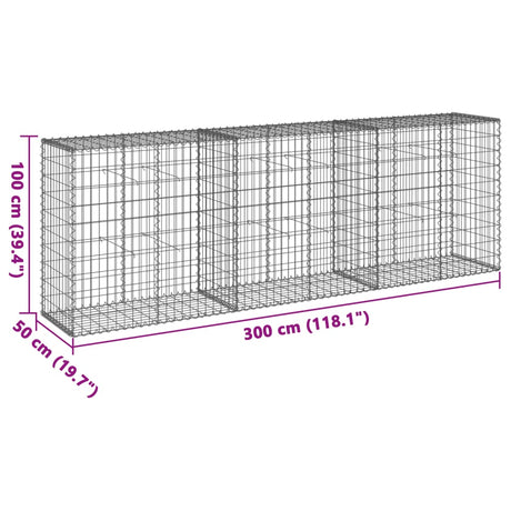 Schanskorf 300x50x100 cm gegalvaniseerd ijzer zilverkleurig - AllerleiShop