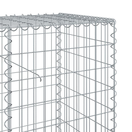 Schanskorf 400x50x100 cm gegalvaniseerd ijzer zilverkleurig - AllerleiShop