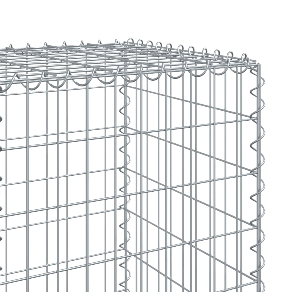 Schanskorf 300x50x150 cm gegalvaniseerd ijzer zilverkleurig - AllerleiShop