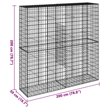 Schanskorf 200x50x200 cm gegalvaniseerd ijzer zilverkleurig - AllerleiShop