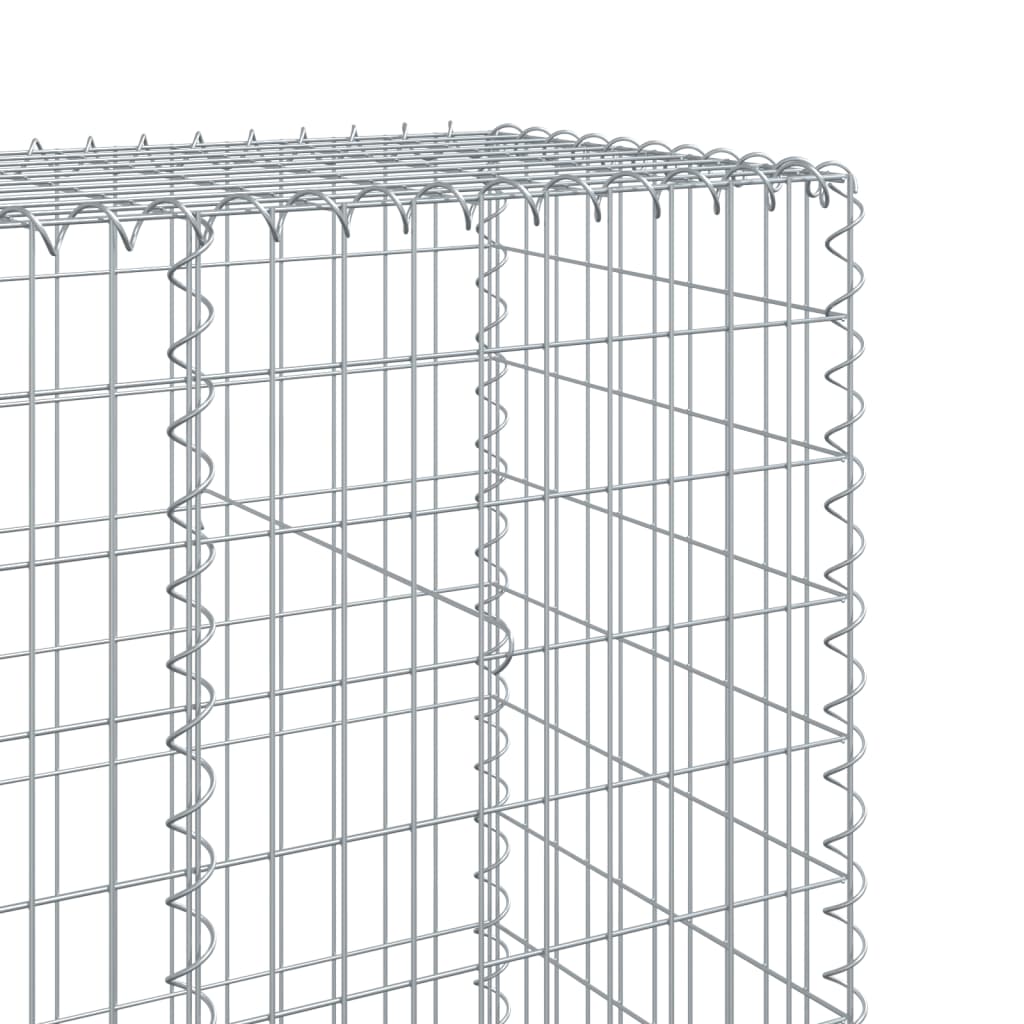 Schanskorf 300x50x200 cm gegalvaniseerd ijzer zilverkleurig - AllerleiShop