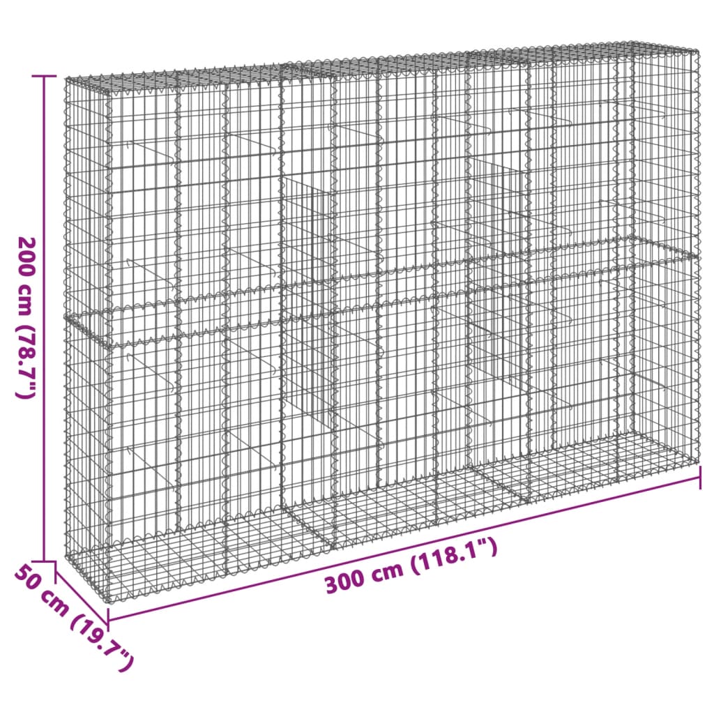 Schanskorf 300x50x200 cm gegalvaniseerd ijzer zilverkleurig - AllerleiShop