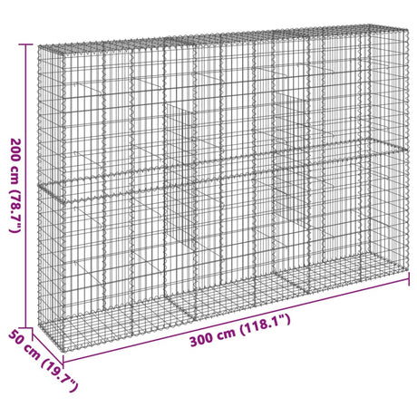 Schanskorf 300x50x200 cm gegalvaniseerd ijzer zilverkleurig - AllerleiShop