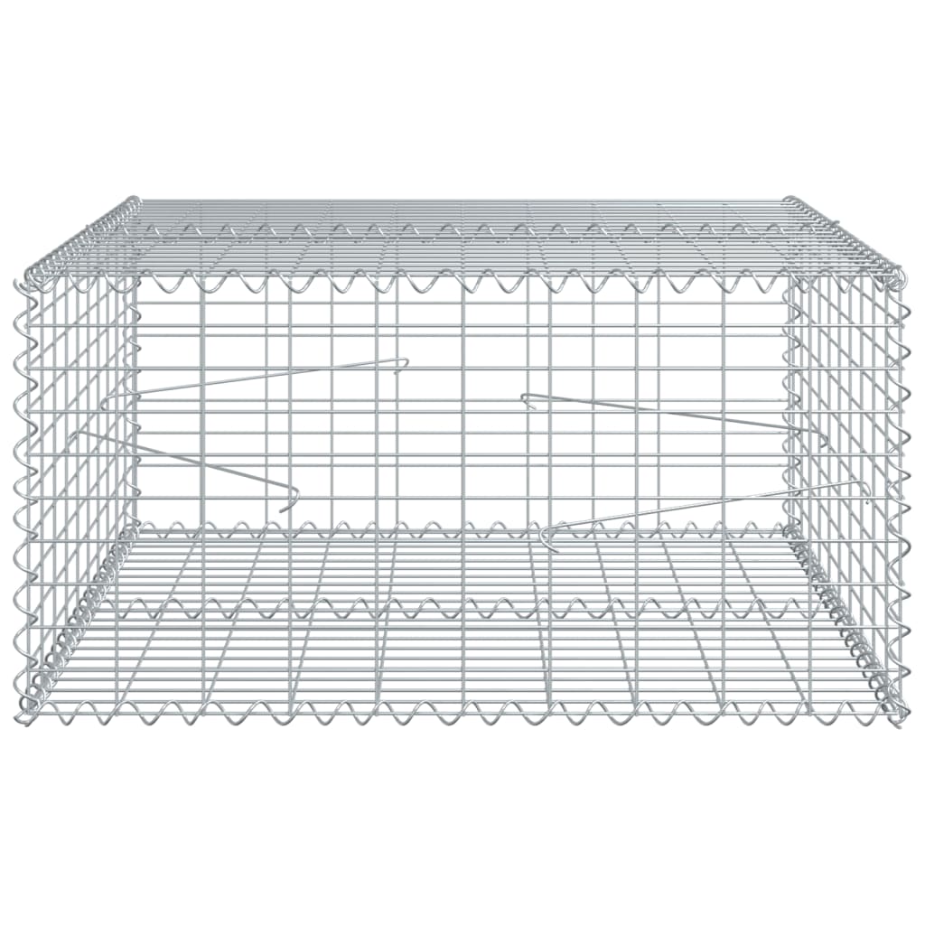 Schanskorf 100x100x50 cm gegalvaniseerd ijzer zilverkleurig - AllerleiShop