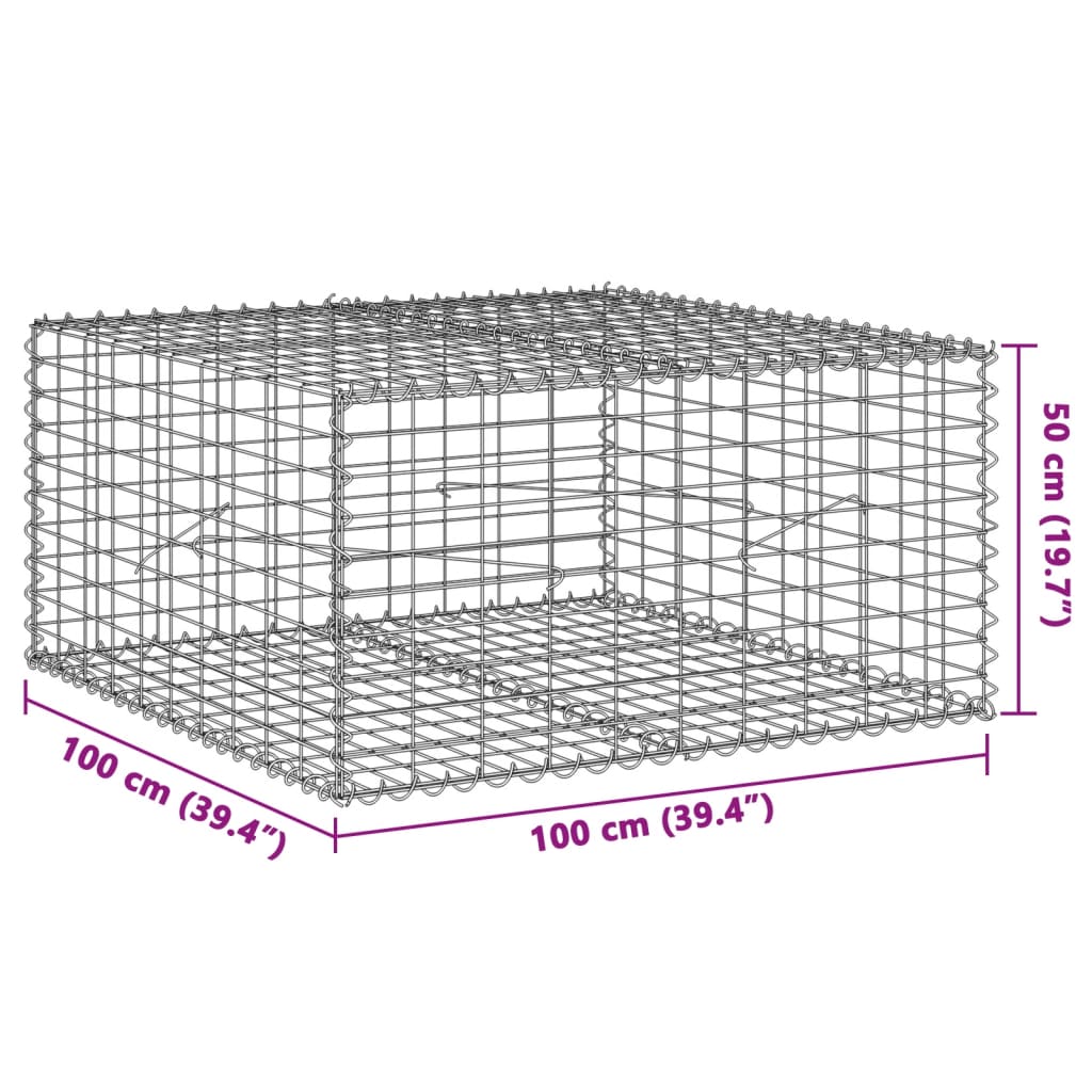 Schanskorf 100x100x50 cm gegalvaniseerd ijzer zilverkleurig - AllerleiShop