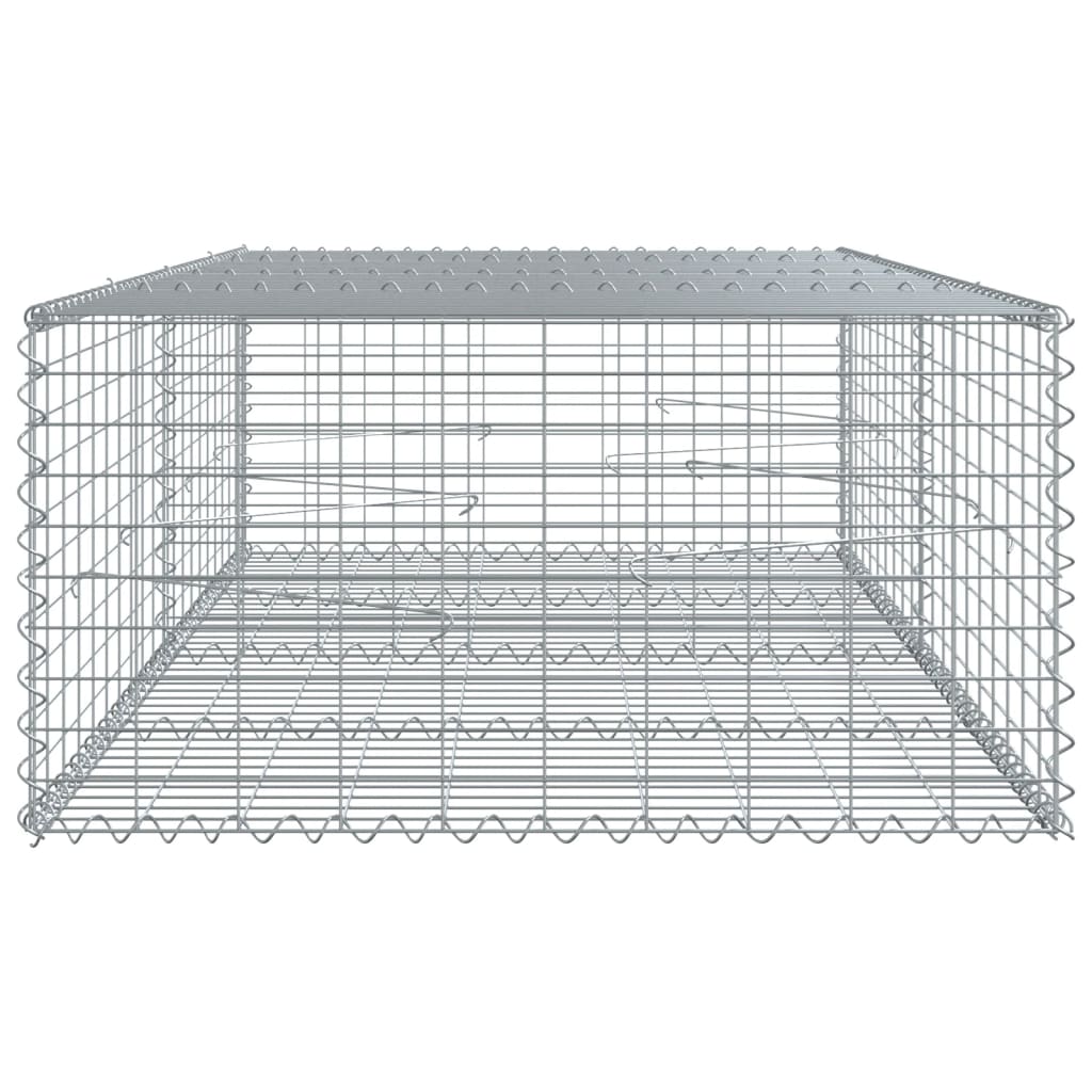 Schanskorf 200x100x50 cm gegalvaniseerd ijzer zilverkleurig - AllerleiShop