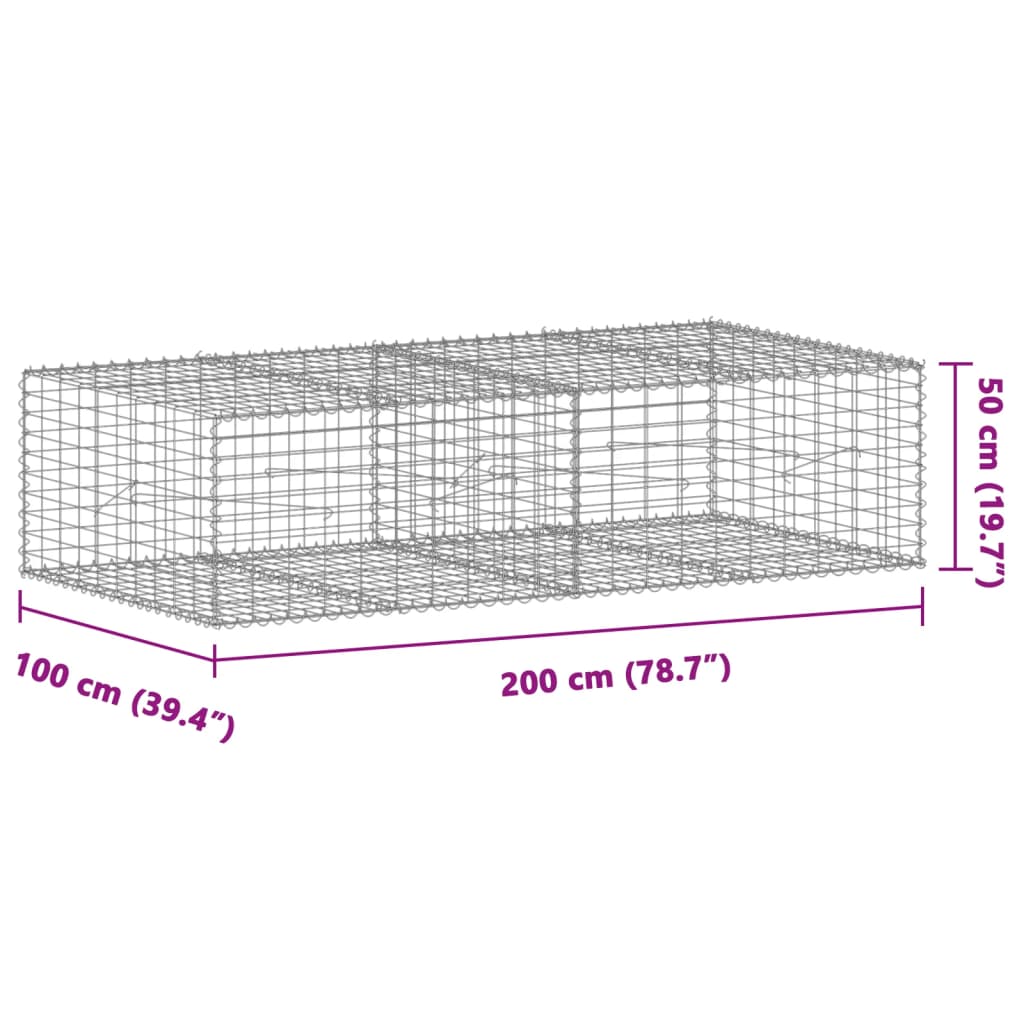 Schanskorf 200x100x50 cm gegalvaniseerd ijzer zilverkleurig - AllerleiShop